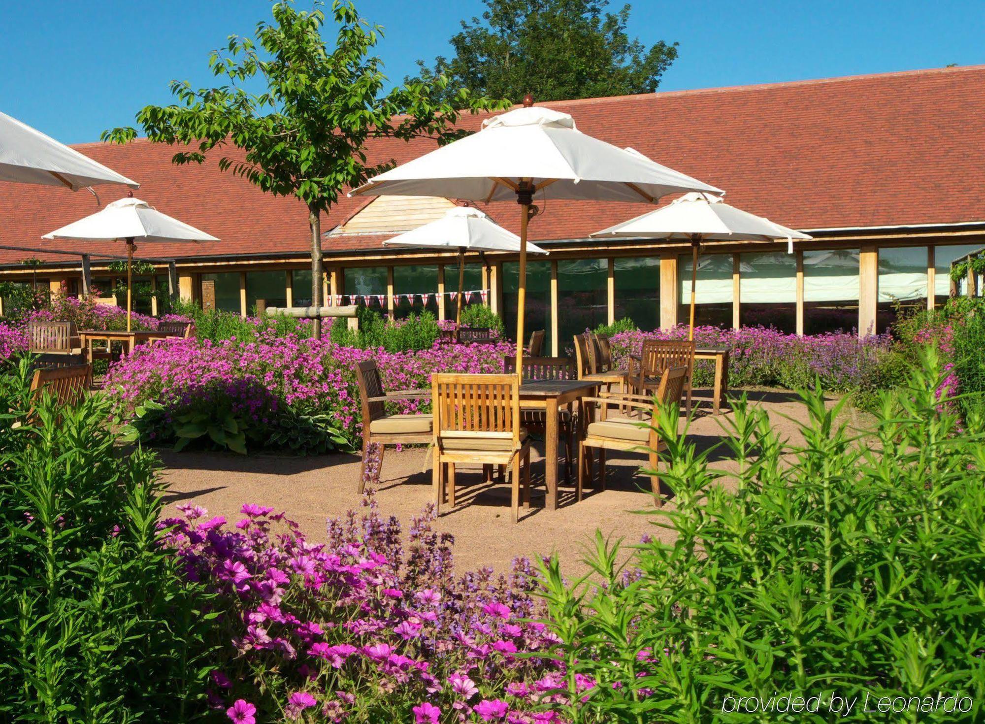 The Elms Hotel & Spa Abberley Exterior foto